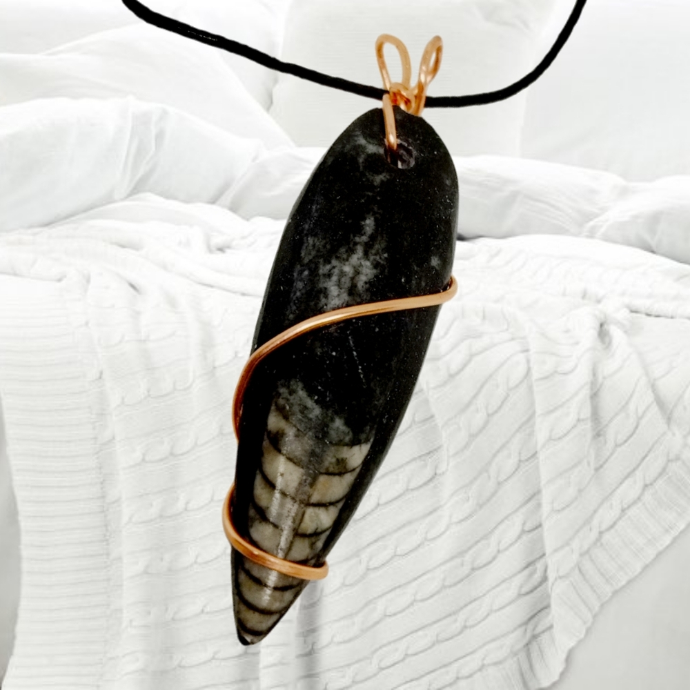 Genuine Fossilized Orthoceras Hand Wired Pendant with Black Cord Necklace